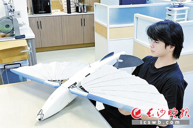 瞿光檄在实验室里对“仿生飞鱼”进行调试。长沙晚报全媒体记者刘攀 实习生 赵旖旎 摄影报道