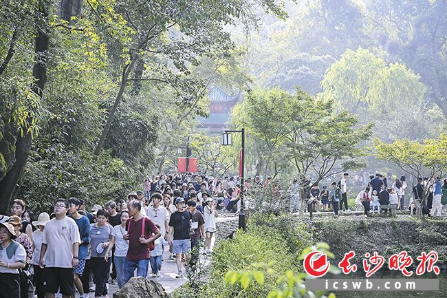 作为长沙的城市名片和湖湘文脉的承载地，岳麓山风景名胜区每年接待游客数以千万计。长沙晚报全媒体记者 余劭劼 摄