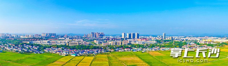 洞阳镇全景。照片均为长沙晚报通讯员 邓霞林摄