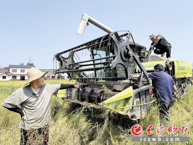 收割机出了点小故障，何柯（左）一眼就看出问题出在哪。均为长沙晚报全媒体记者 洪虹 徐珍珍 摄影报道