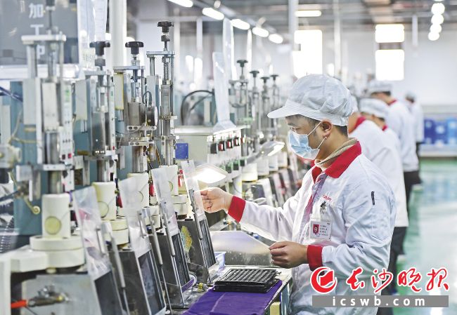 长步道的工业镜头已广泛应用于新能源、3C电子、半导体、医疗等领域的视觉检测系统。 长沙晚报全媒体记者 王志伟 摄