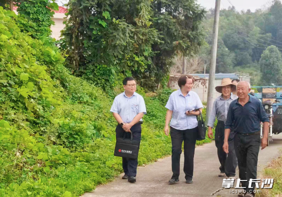 金融村官深入田间地头送服务。星沙农商银行供图