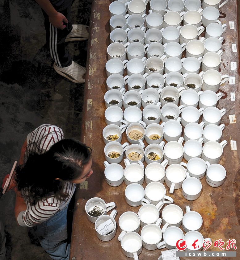 2元葱油粑粑、5元花生瓜子、8元茶无限续水，“258”定价体系让茶馆成了全年龄段的社交乐园。均为长沙晚报全媒体记者 邹麟 摄